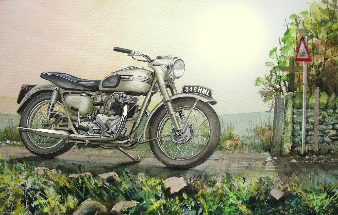 Фото обои дорога, рисунок, мотоцикл, байк, живопись, Triumph