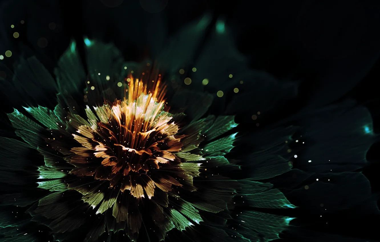 Фото обои цветок, лучи, свет, абстракция, сияние, графика, свечение, боке