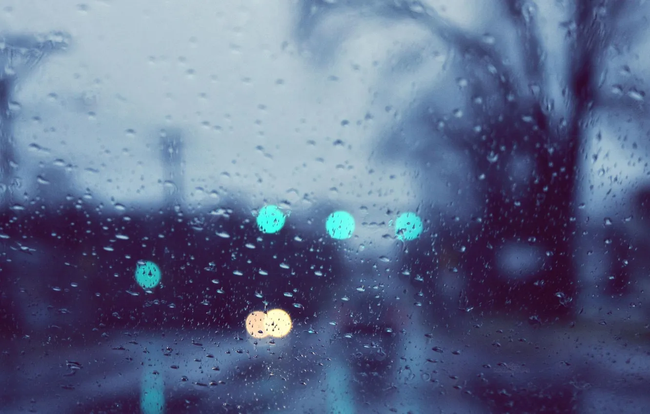 Фото обои Макро, Стекло, Дождь, Rain