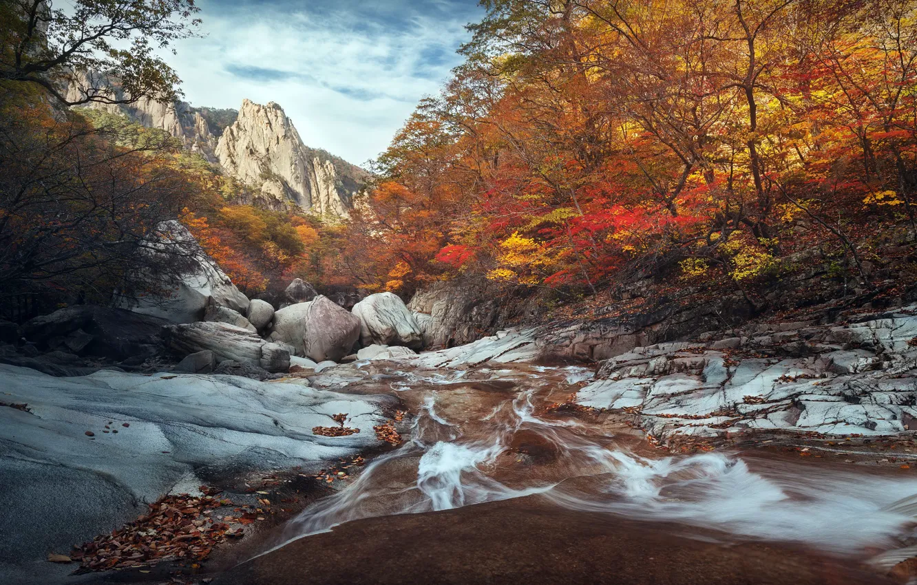 Фото обои South Korea, autumn, River, Seoraksan national park