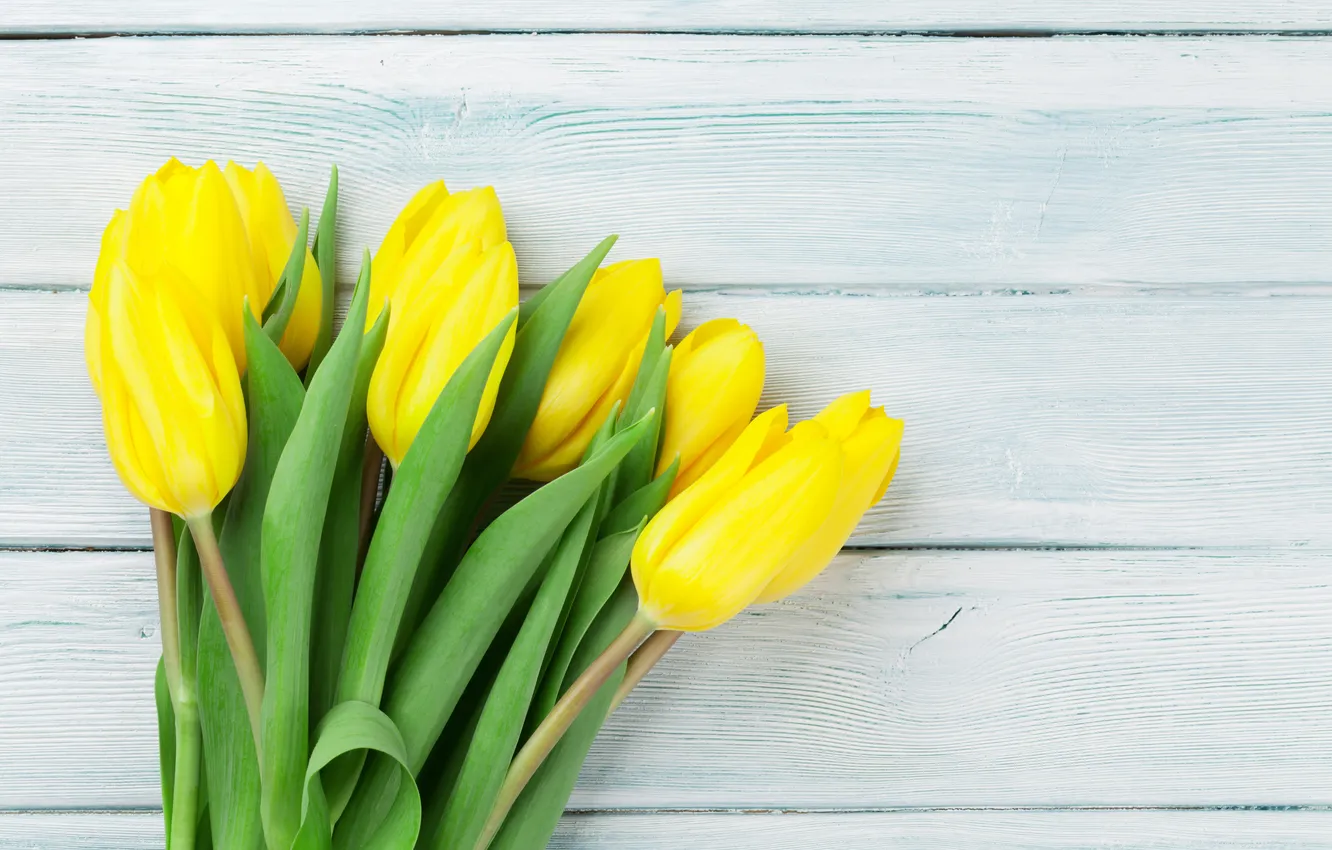 Фото обои цветы, букет, тюльпаны, yellow, wood, flowers, tulips, spring
