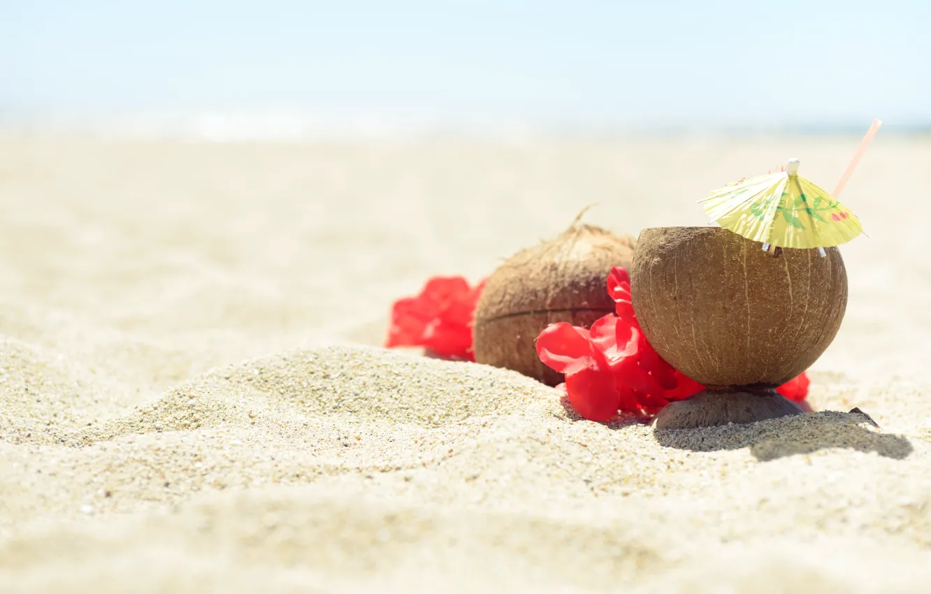 Фото обои песок, море, пляж, лето, небо, цветы, кокос, summer