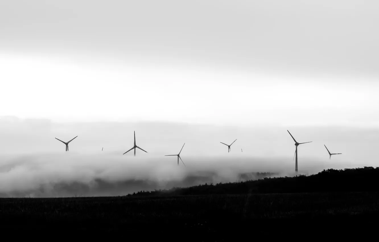 Фото обои природа, туман, ветряки