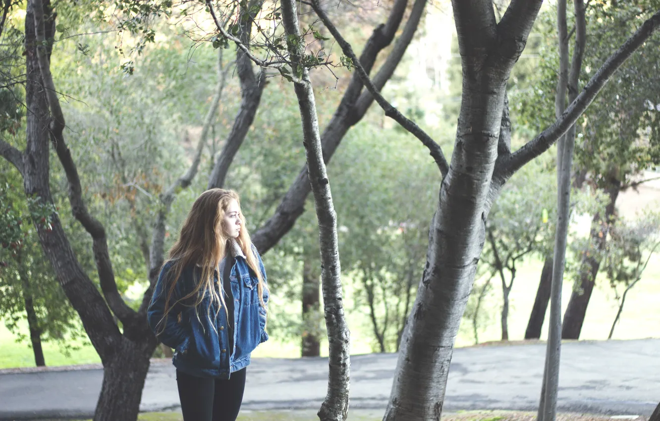 Фото обои девушка, деревья, джинсовка, джинсовая куртка