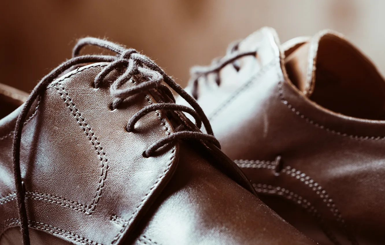 Фото обои leather, shoes, elegance