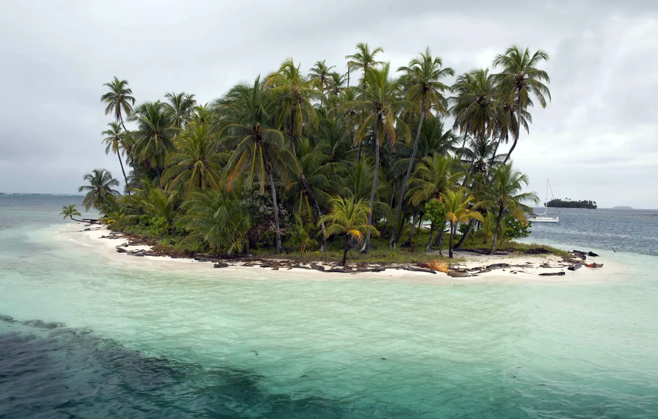 Фото обои Sea, Island, Palms, San Blas Islands, Caribic