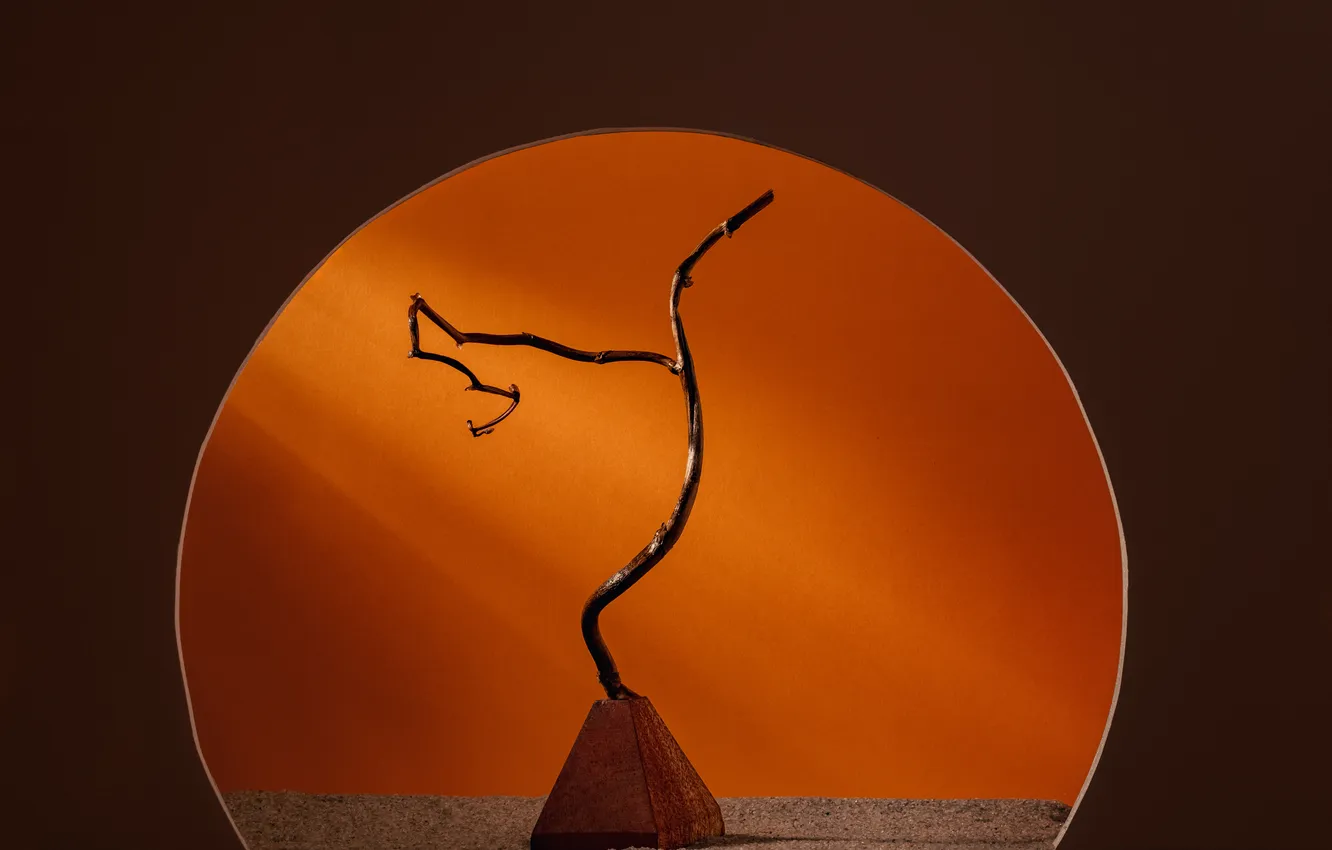 Фото обои metal, wood, work of art, magnificence