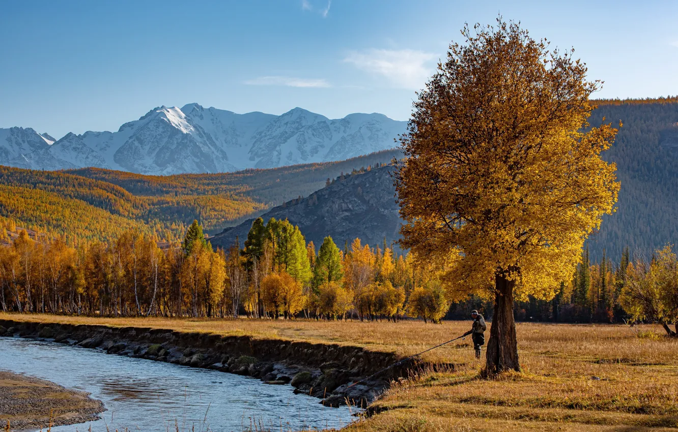 Фото обои осень, пейзаж, горы, природа, река, рыбак, Алтай, Евгений Дроботенко