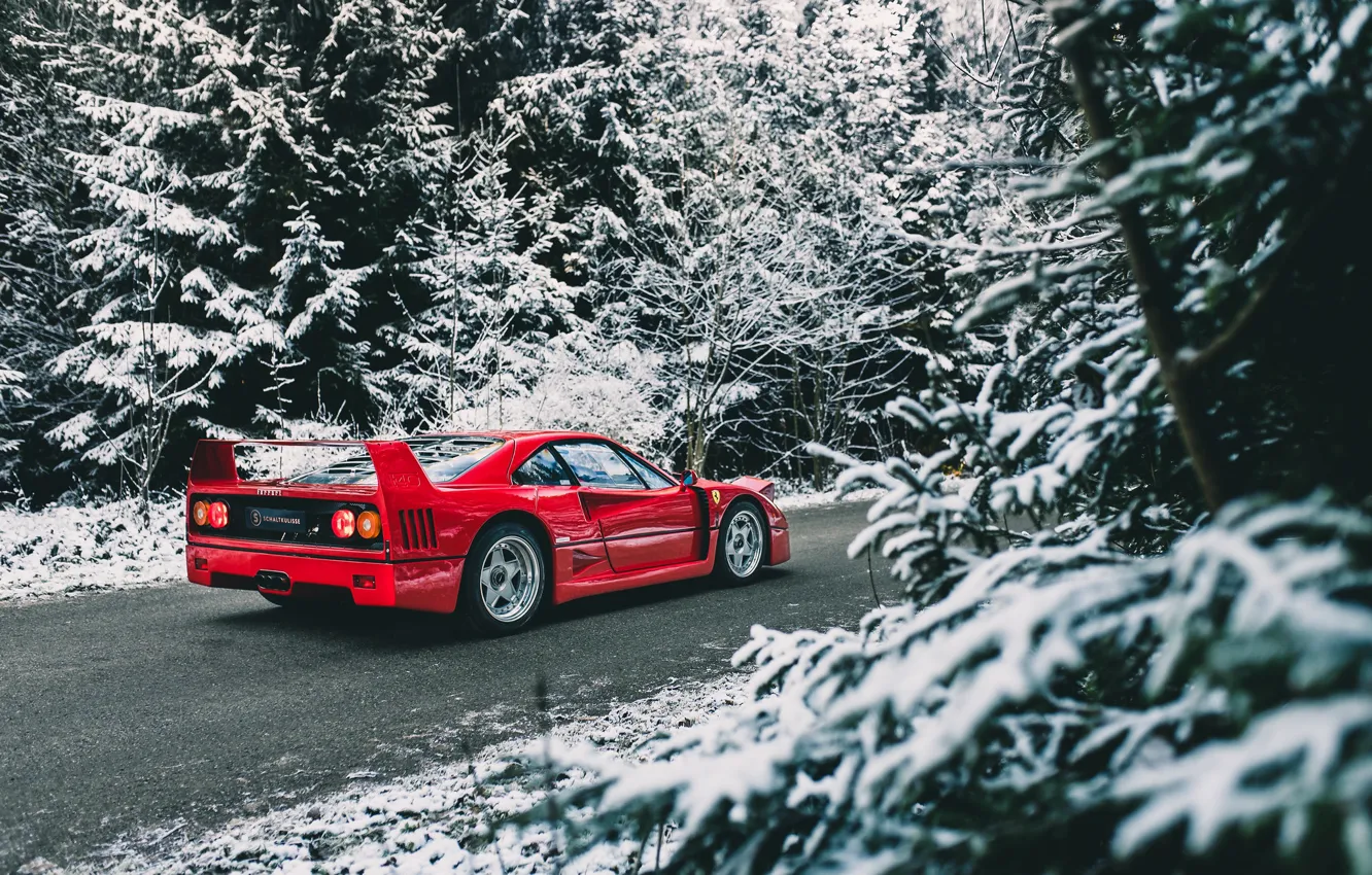 Фото обои F40, Winter, Turn