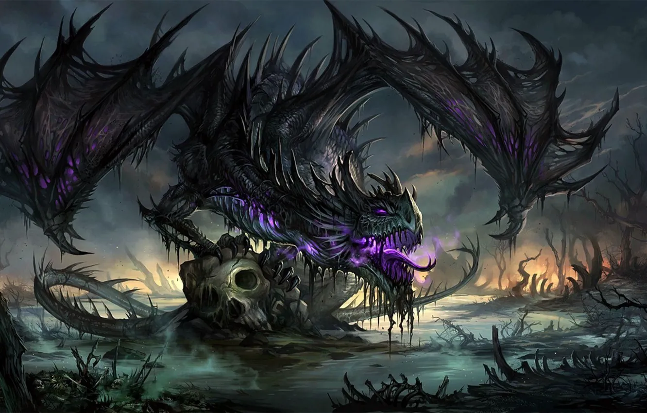Фото обои skull, fantasy, dragon