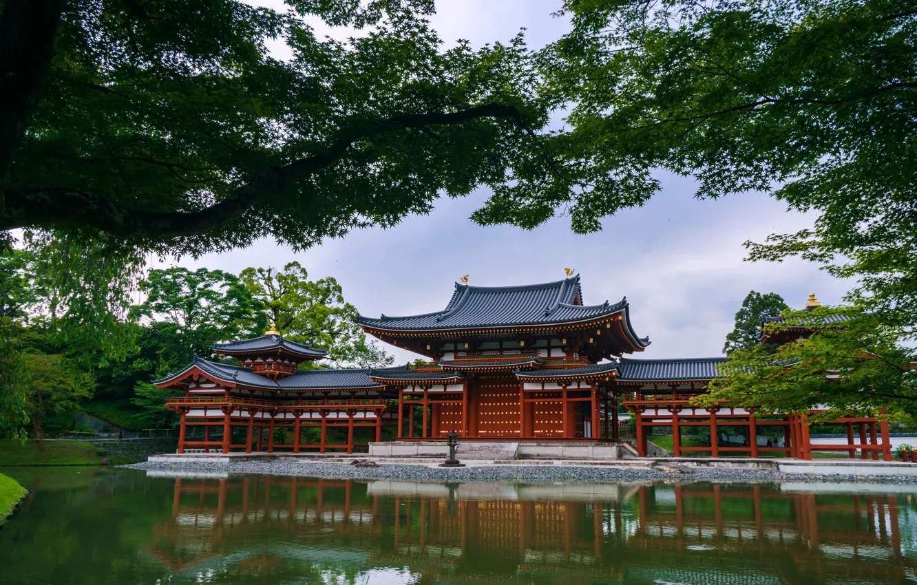 Фото обои деревья, пруд, храм, Japan, the Byod Temple Uji