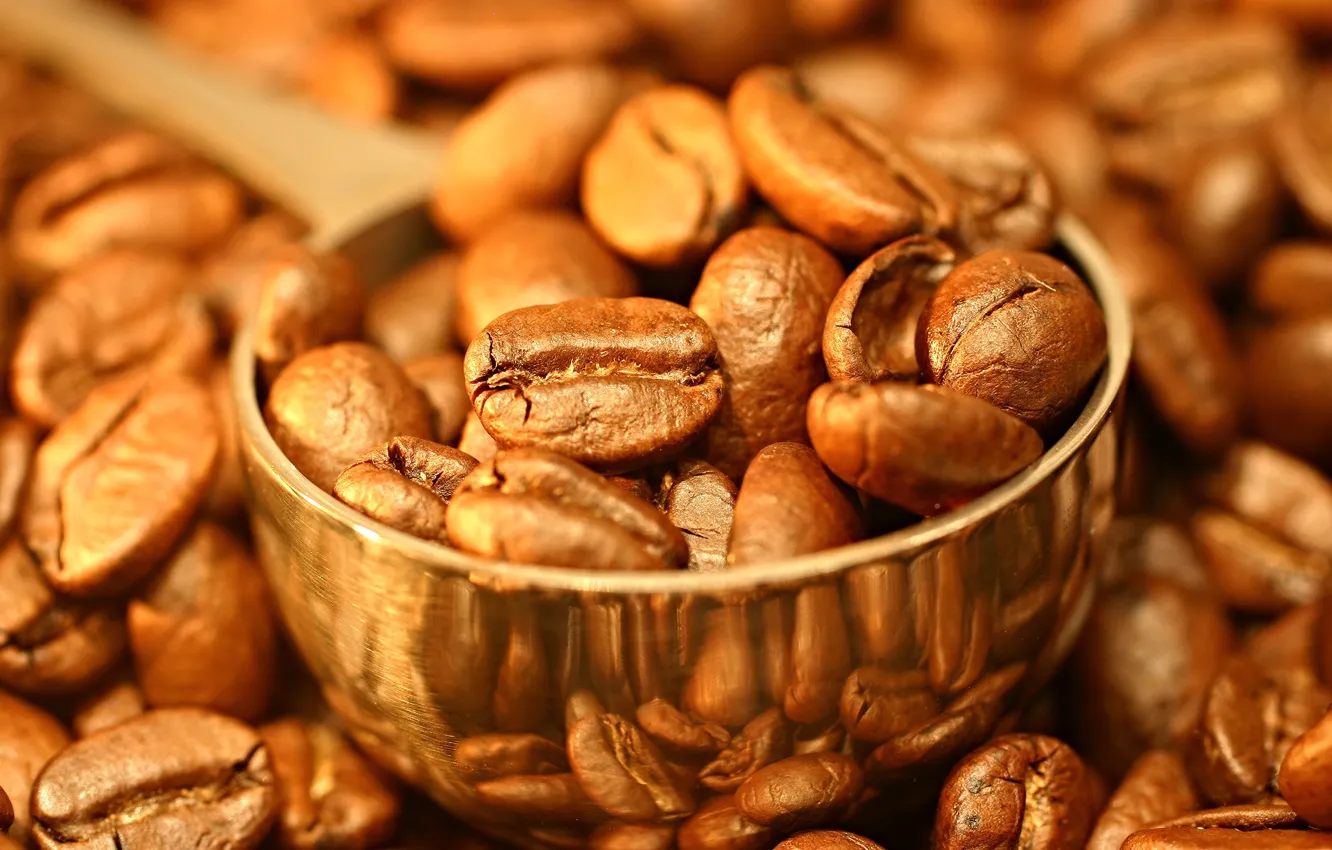 Фото обои кофе, кофейные зерна, совок, ковшик