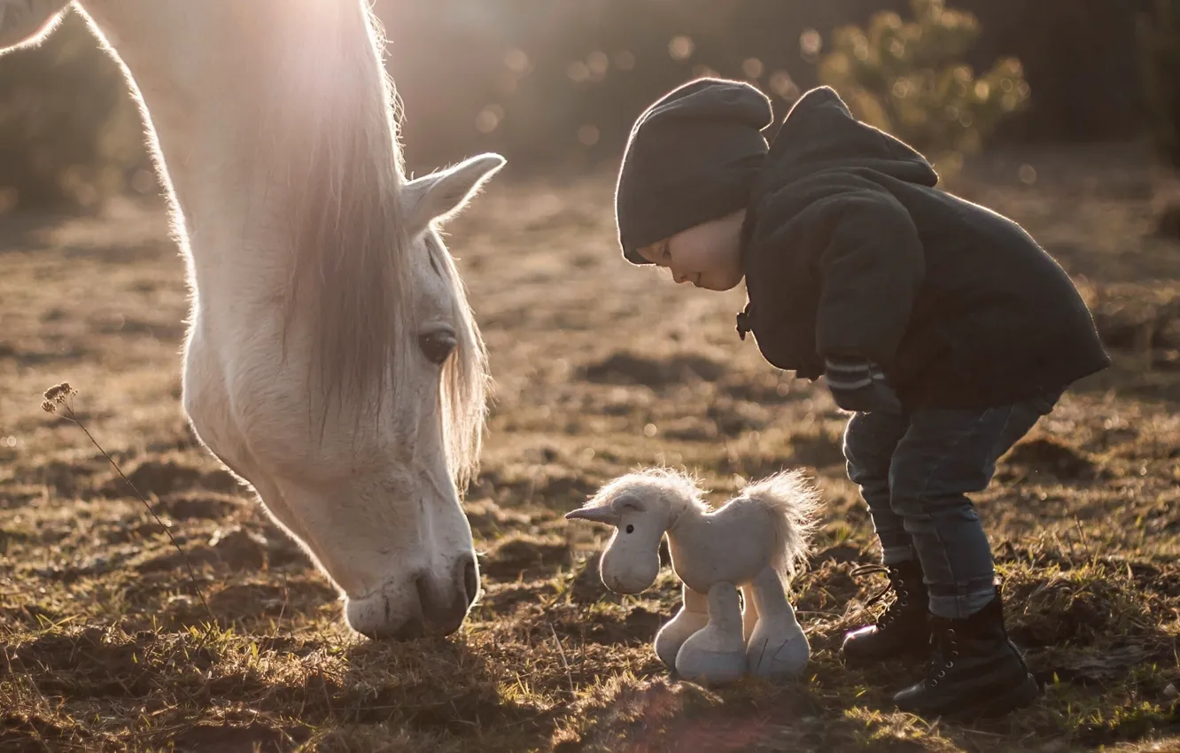 Фото обои конь, лошадь, игрушка, мальчик, лошадка
