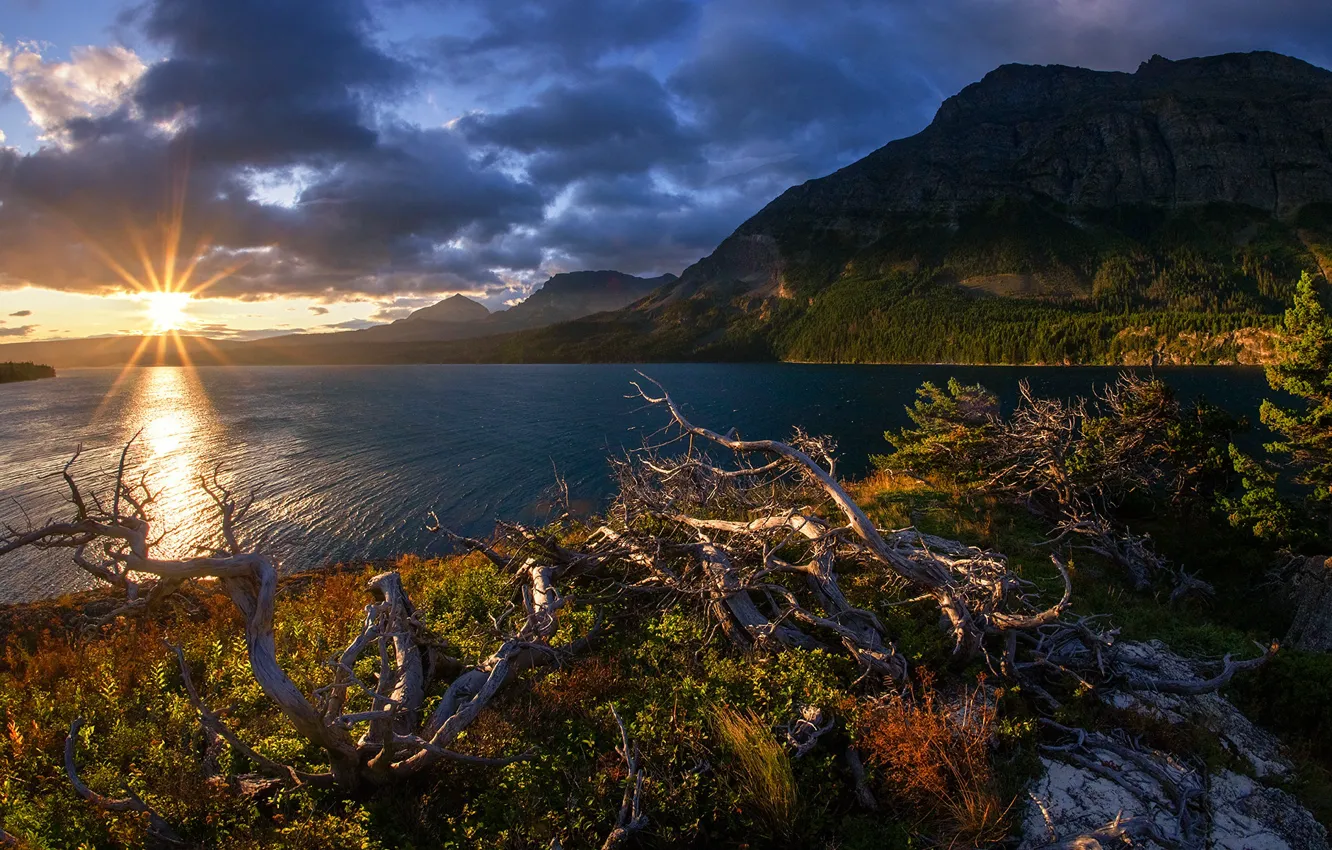 Фото обои горы, озеро, восход, рассвет, Монтана, коряги, Glacier National Park, Saint Mary Lake