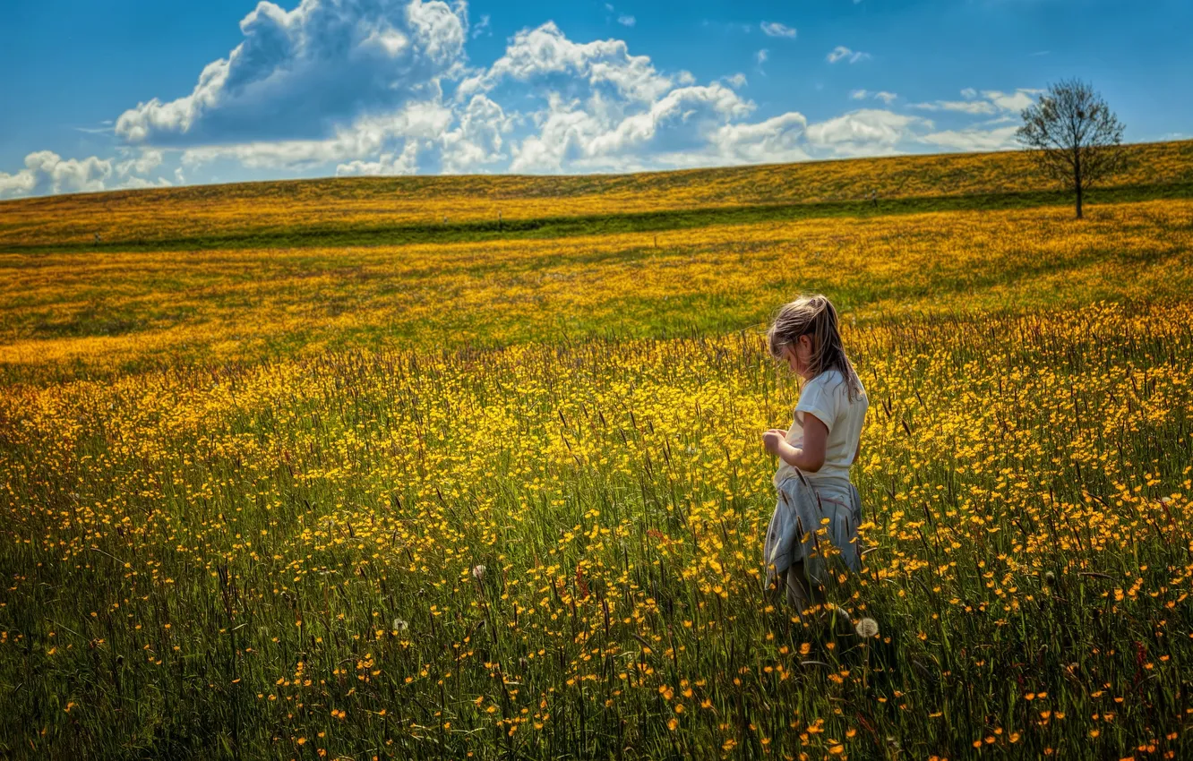 Фото обои поле, лето, девочка