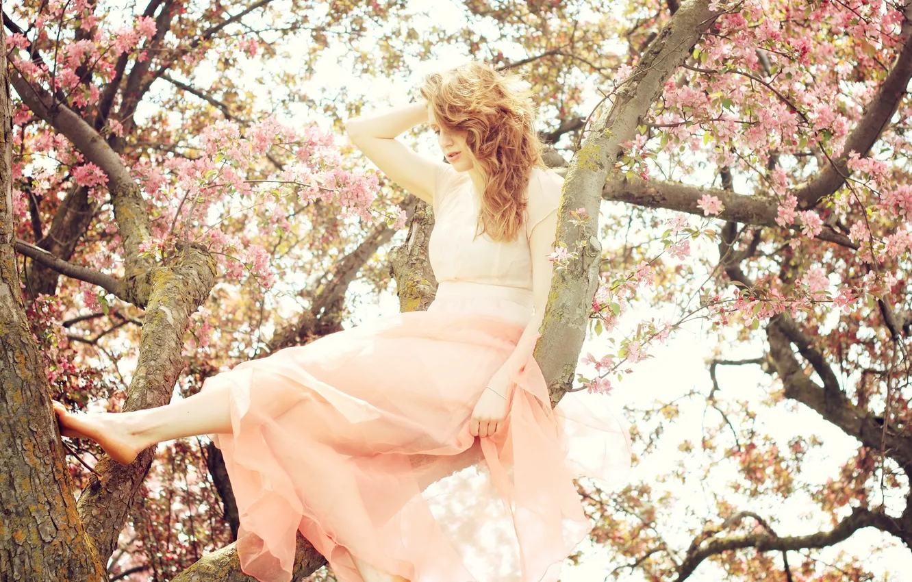 Фото обои девушка, солнце, цветы, дерево, волосы, платье