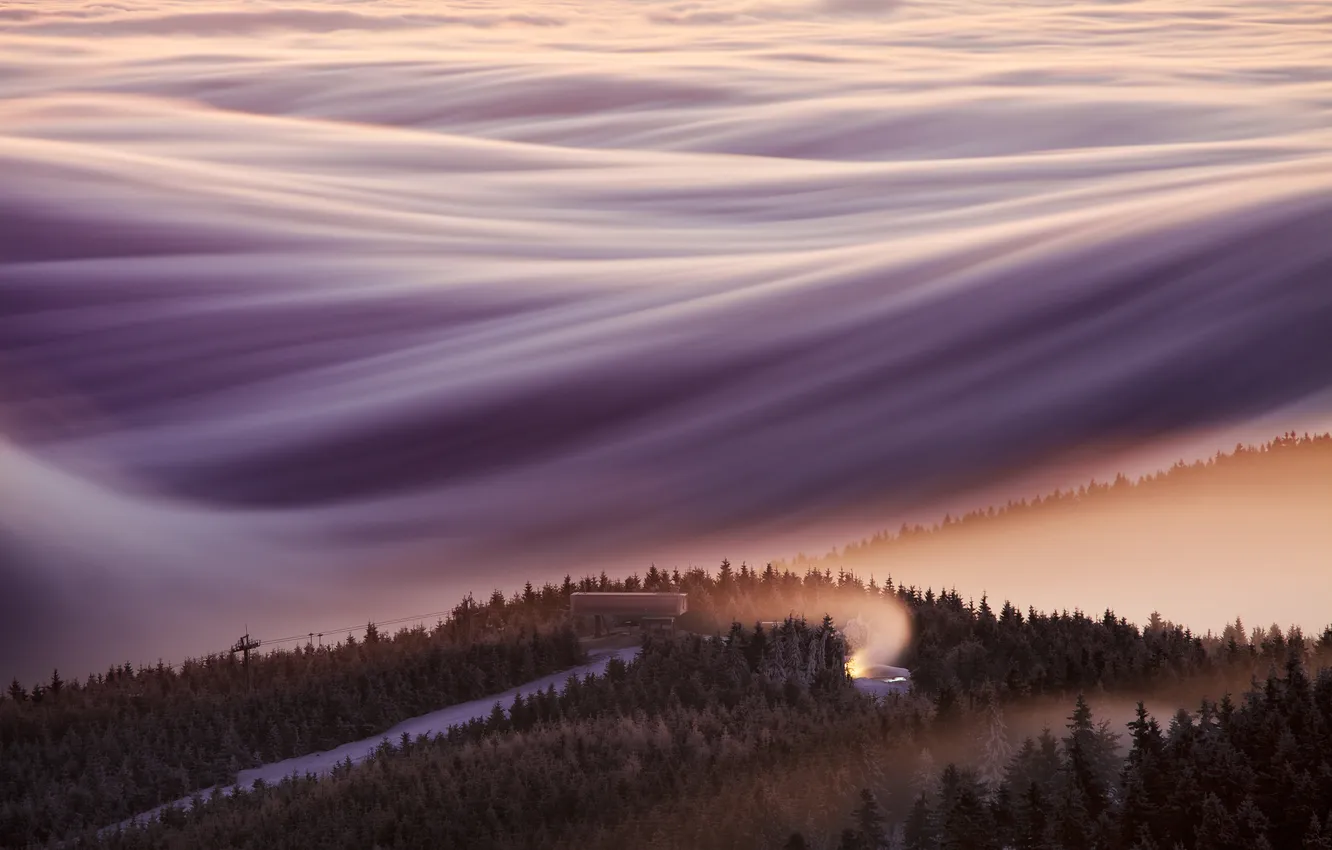 Фото обои forest, trees, landscape, nature, clouds, environment, mist, long exposure