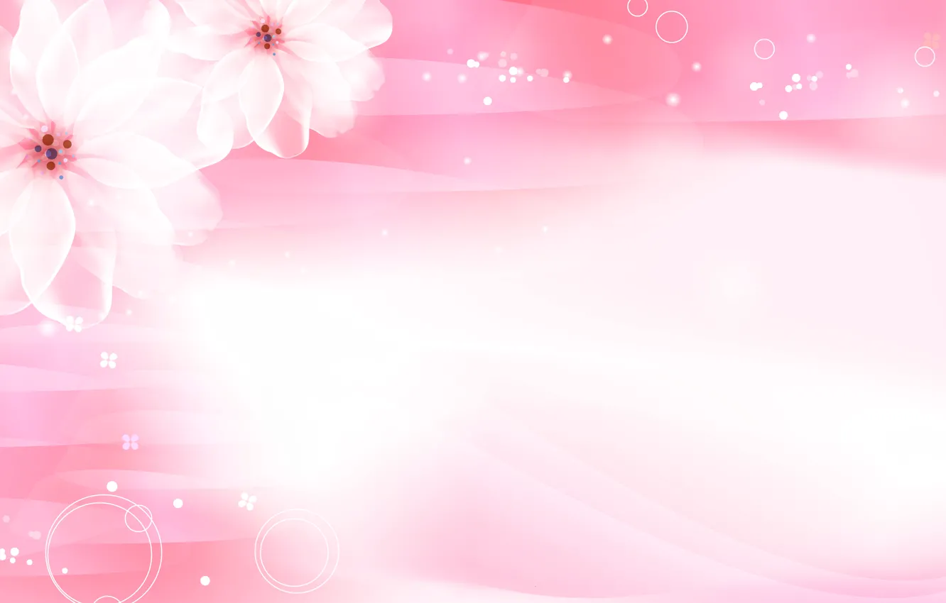 Фото обои цветы, розовый, сакура