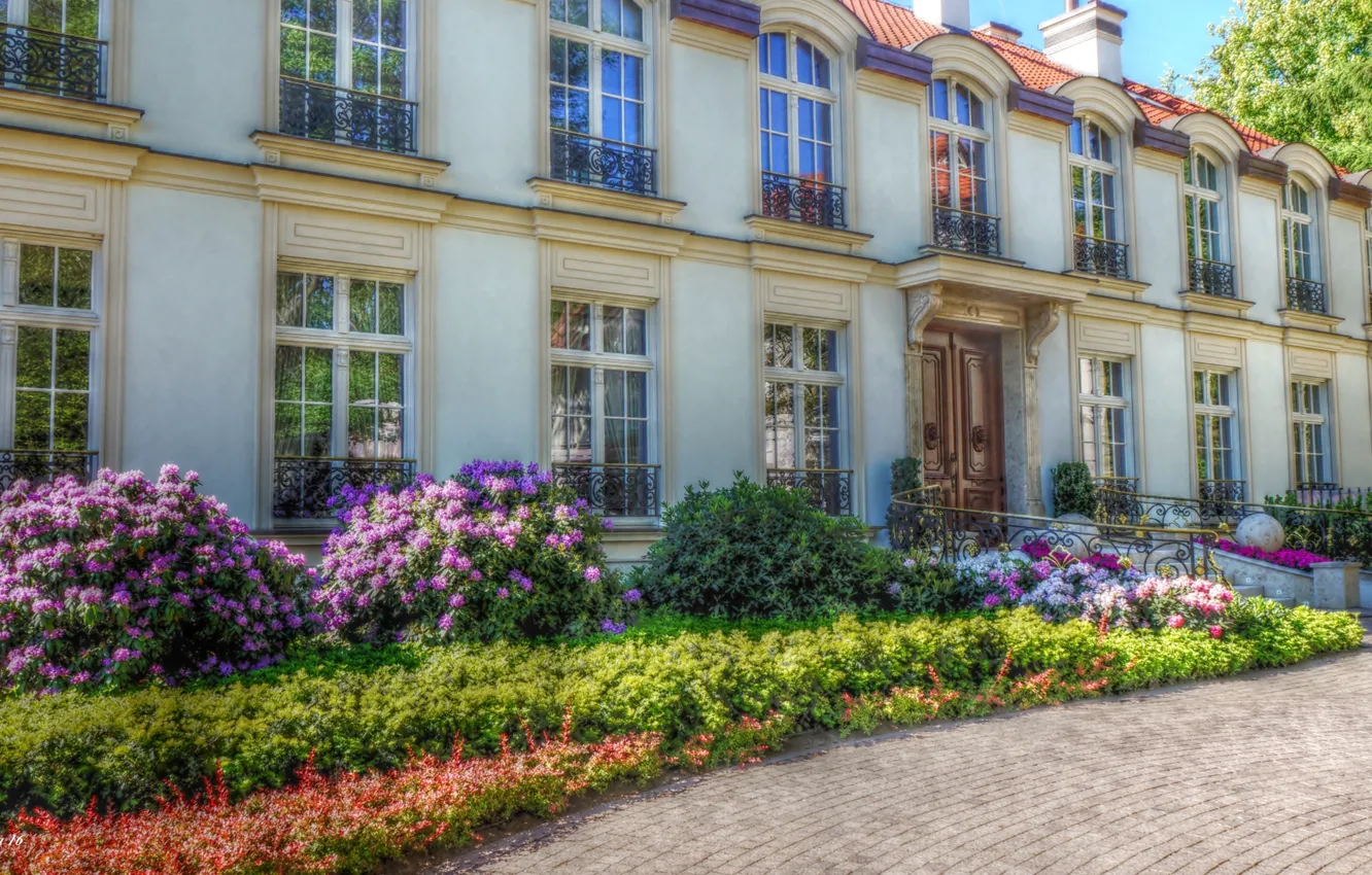 Фото обои road, park, garden, home, building