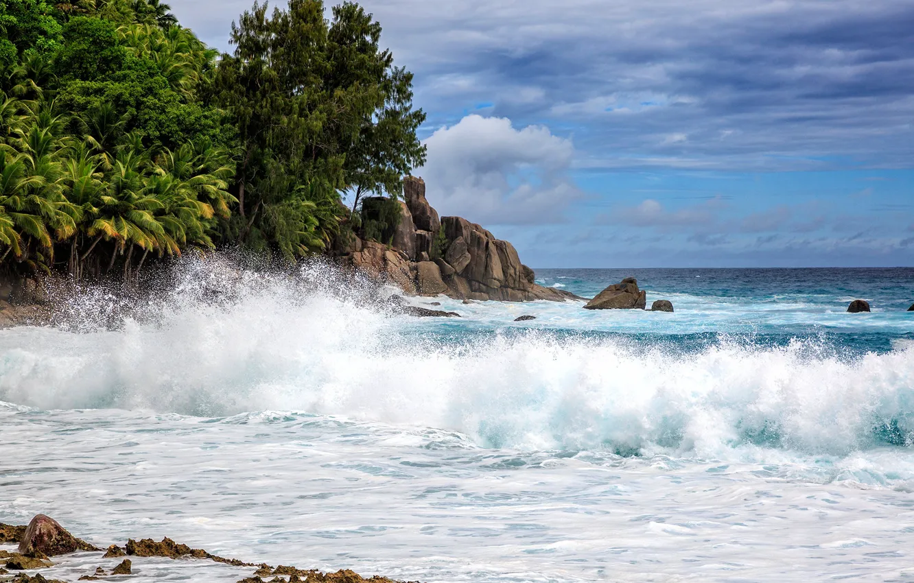 Фото обои пальмы, океан, побережье, волна, Сейшелы, Индийский океан, Seychelles, Indian Ocean