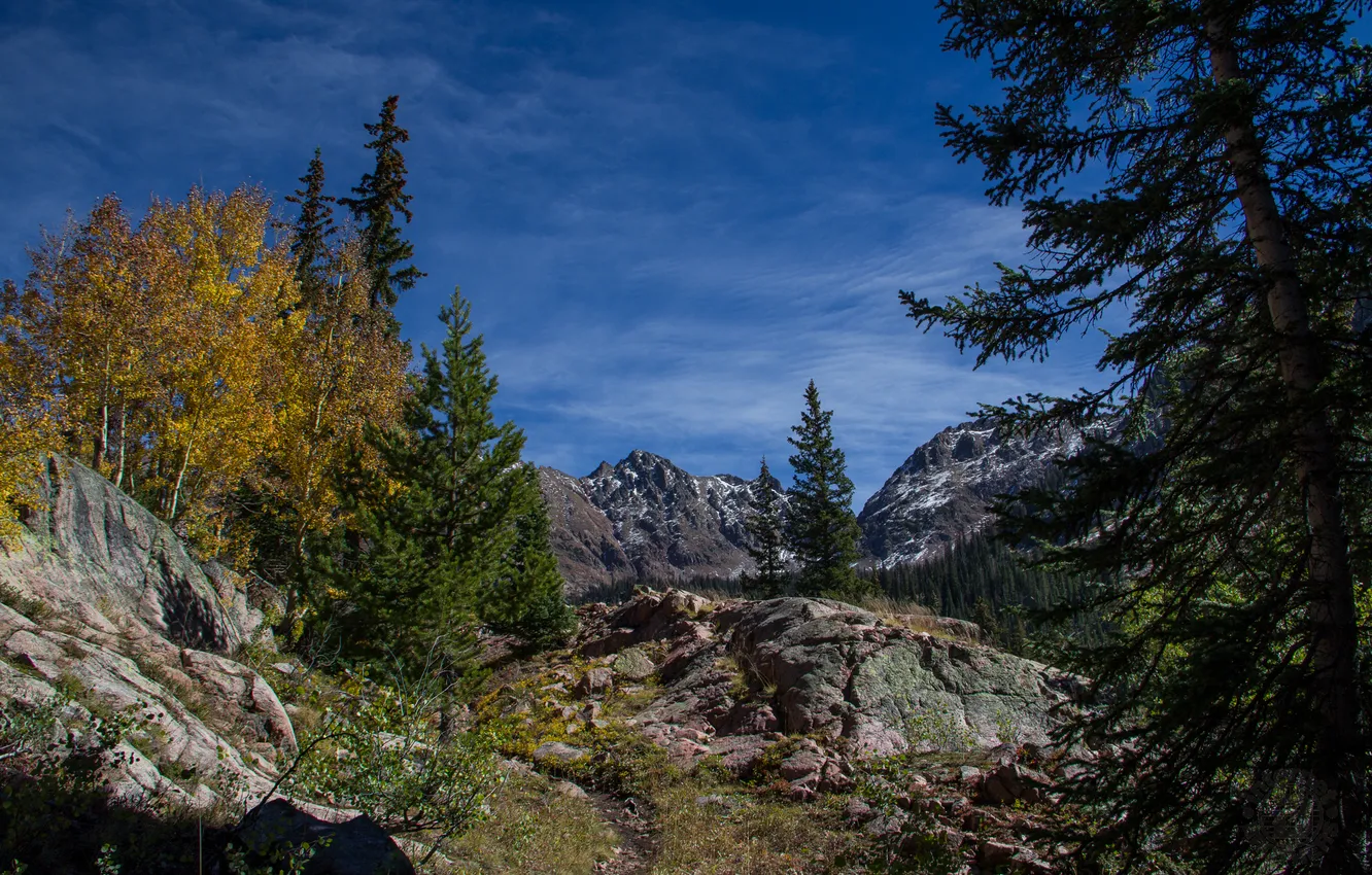 Фото обои небо, деревья, горы, природа, скалы, USA, США, Colorado