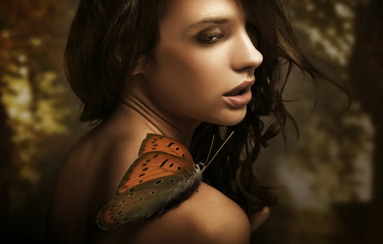 Фото обои взгляд, девушка, бабочка, профиль, шатенка, плечо, локоны