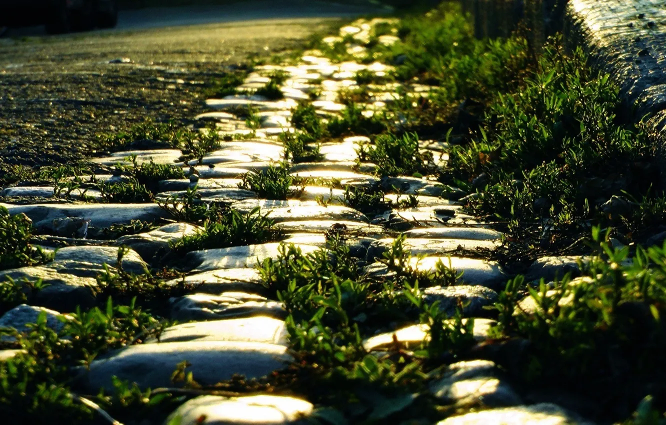 Фото обои дорога, трава, свет, камни, обочина