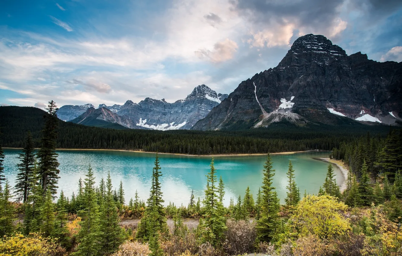 Фото обои лес, деревья, горы, озеро, Канада, Альберта, Alberta, Canada