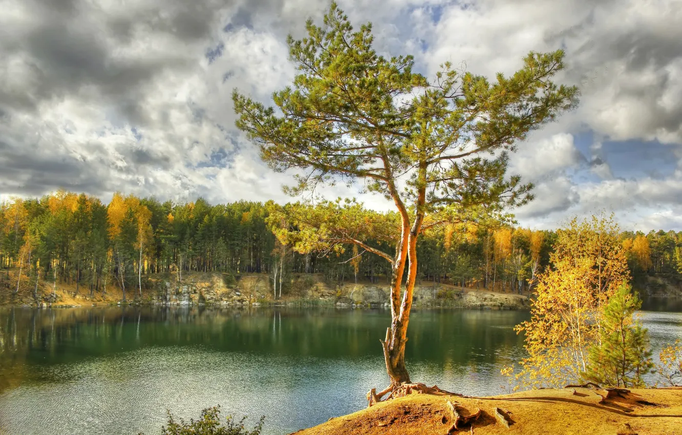 Фото обои осень, лес, небо, облака, деревья, озеро