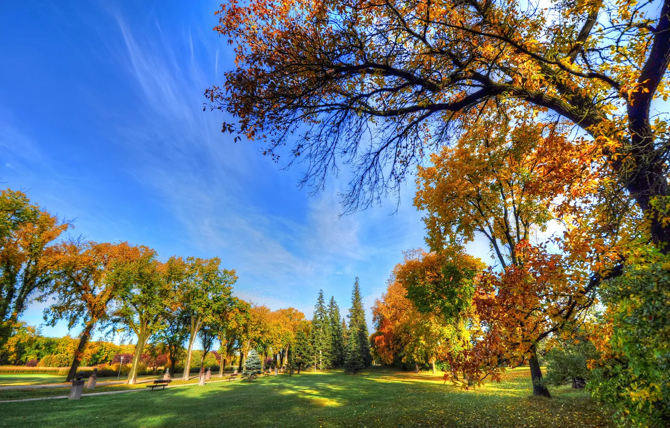 Фото обои осень, небо, трава, деревья, парк, дорожка, скамья