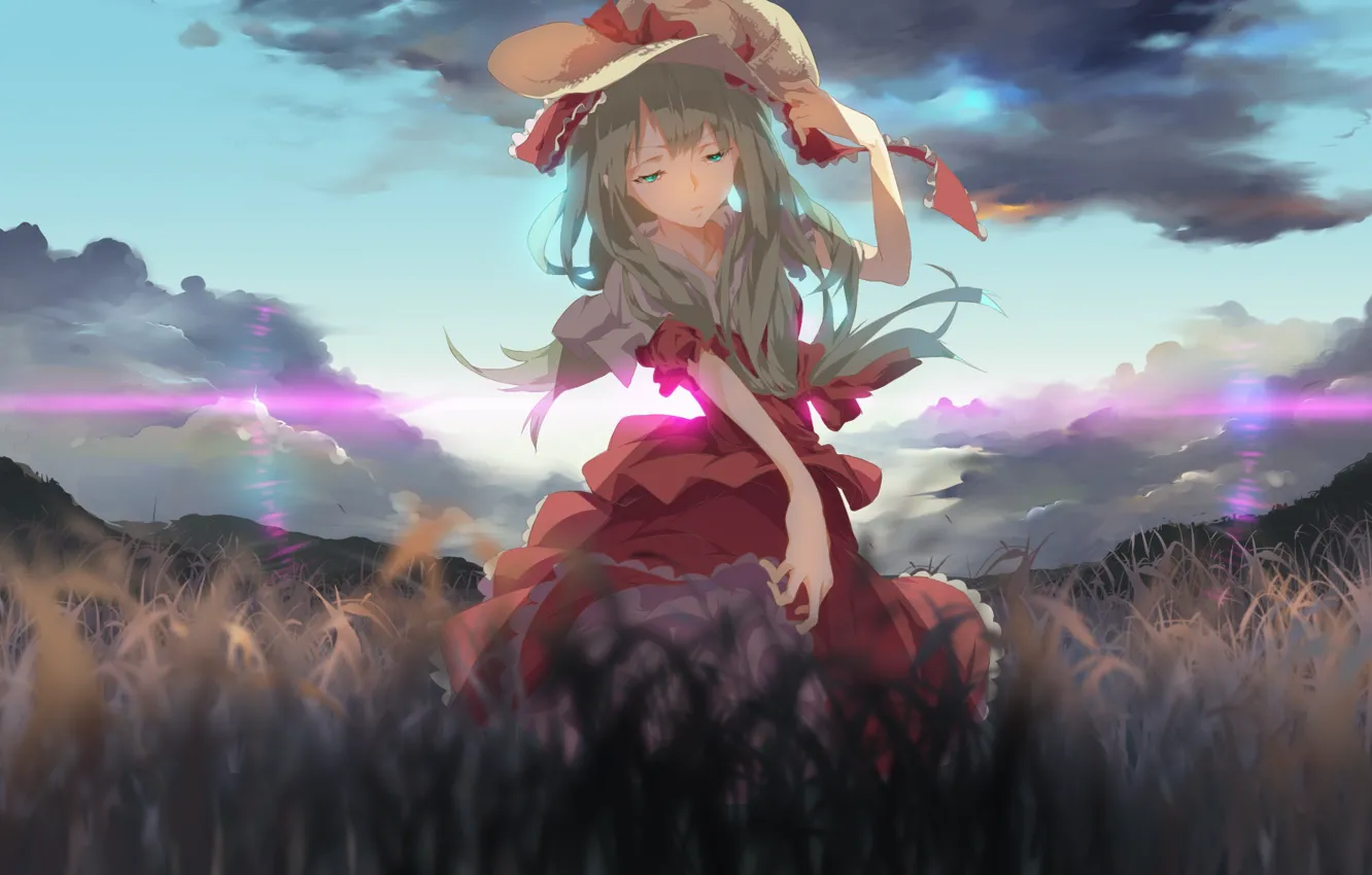 Фото обои поле, небо, трава, красное платье, длинные волосы, touhou, Kagiyama Hina, соломенная шляпа