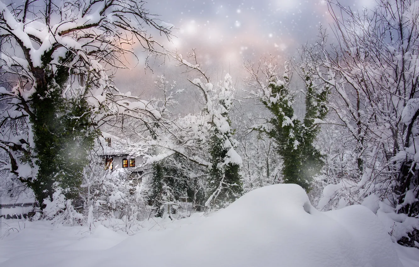 Фото обои зима, снег, деревья, пейзаж, природа, дом, сугробы, снегопад