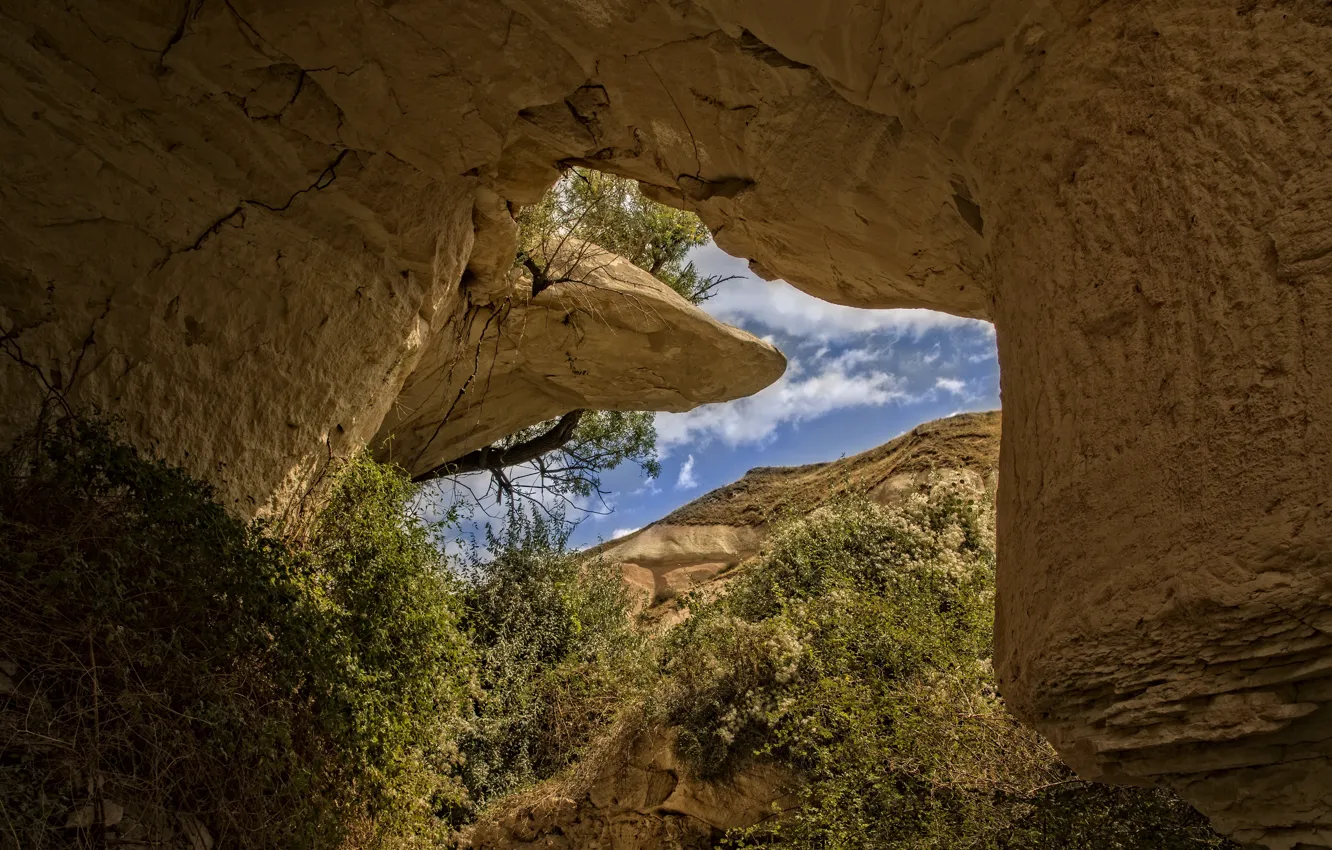 Фото обои nature, yellow, Turkey, Cappadocia, cave, Kide FotoArt