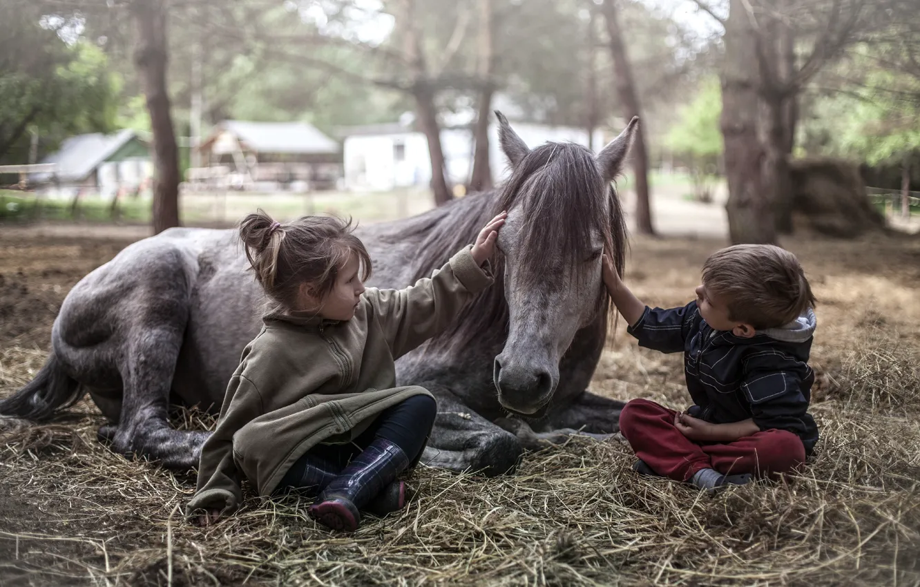 Фото обои конь, мальчик, девочка