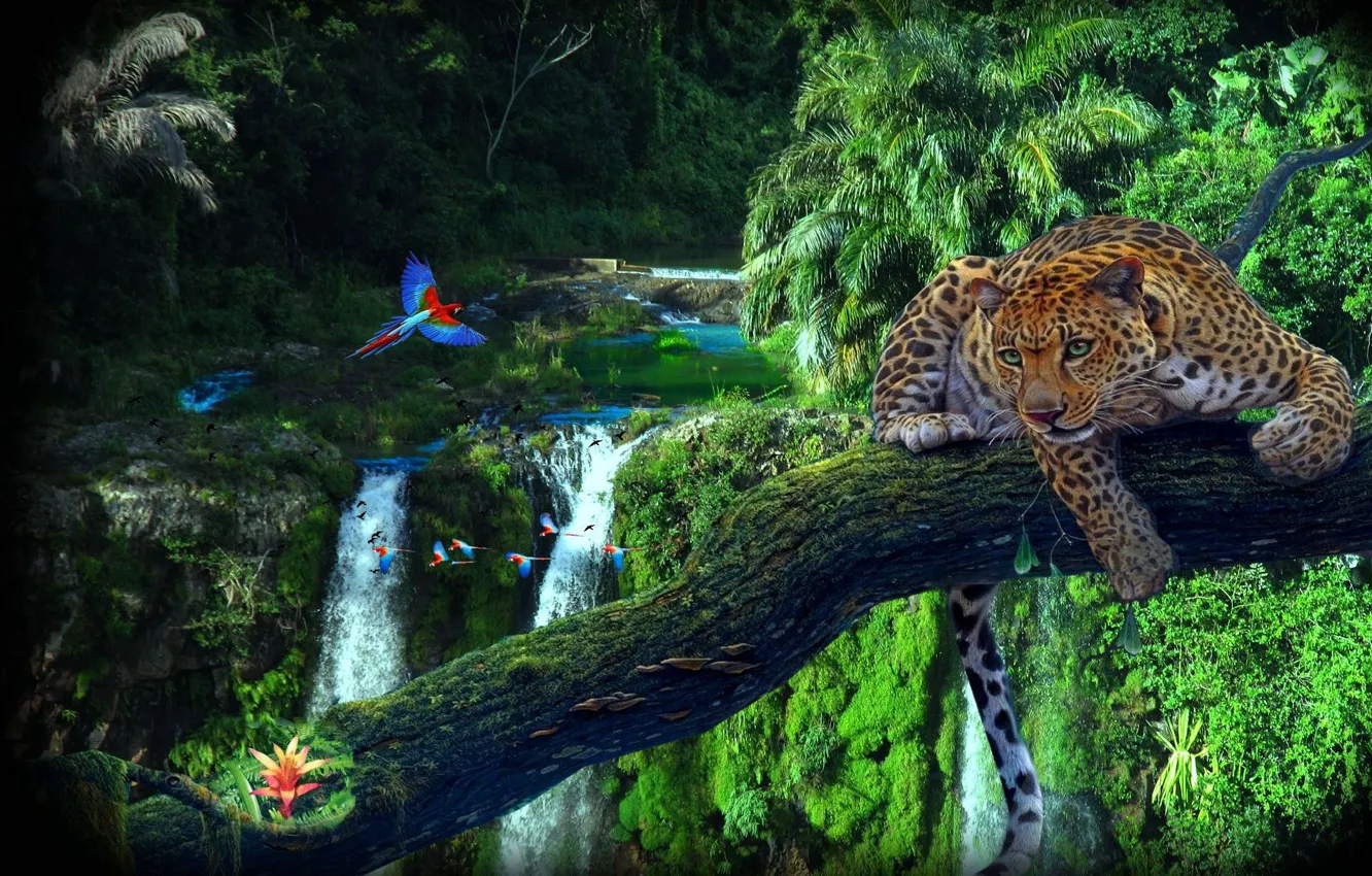 Фото обои водопад, леопард, Джунгли