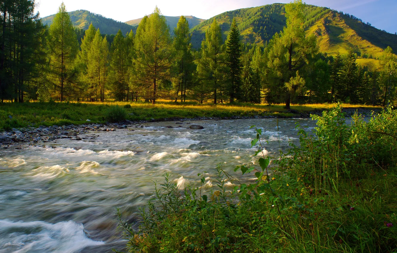 Фото обои небо, трава, вода, деревья, горы, природа, река, камни