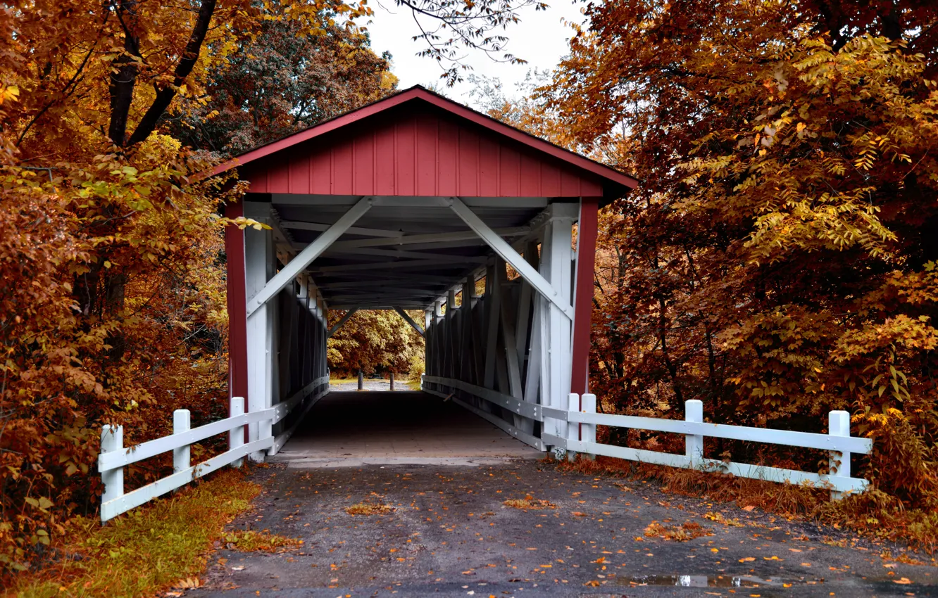 Фото обои Природа, Дорога, Мост, Осень
