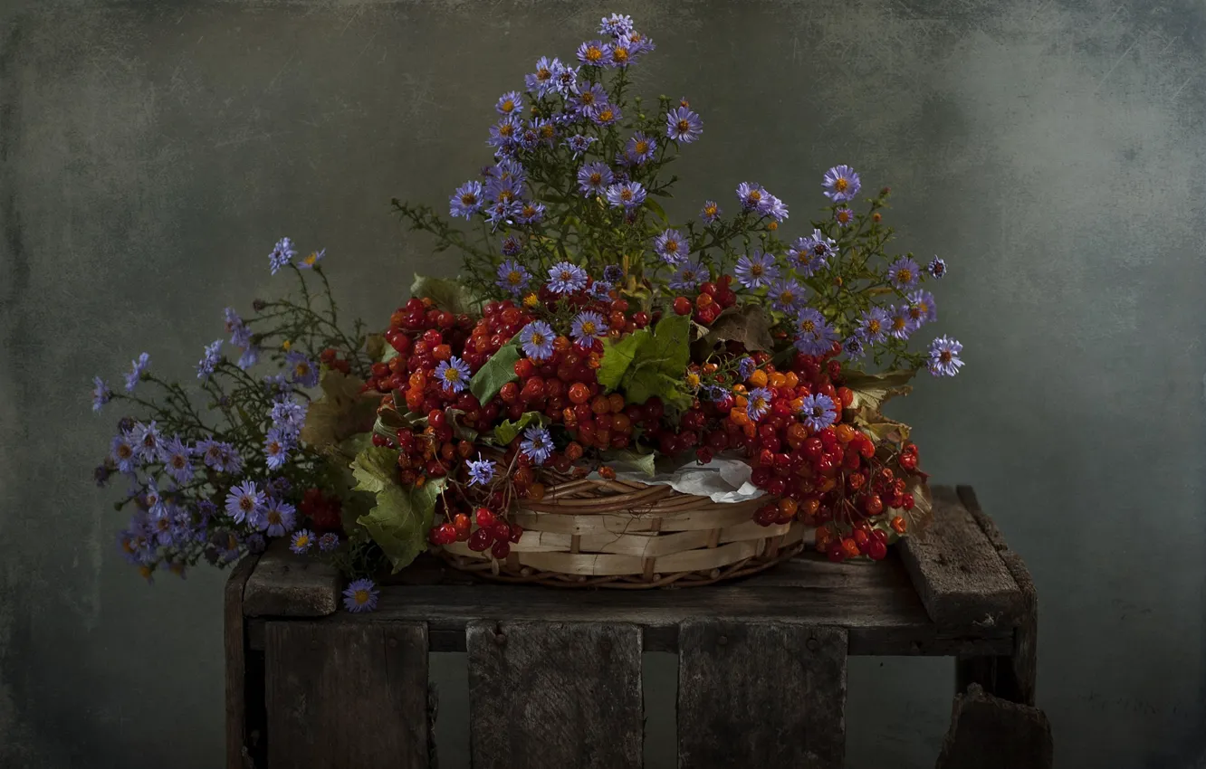 Фото обои цветы, ягоды, корзина, калина, сентябринки