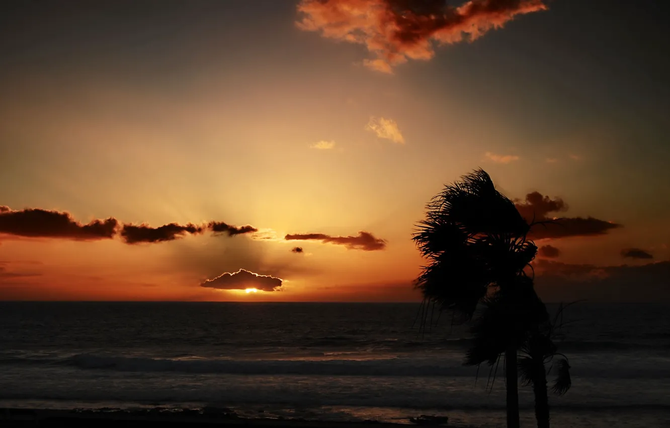 Фото обои море, облака, закат, пальмы