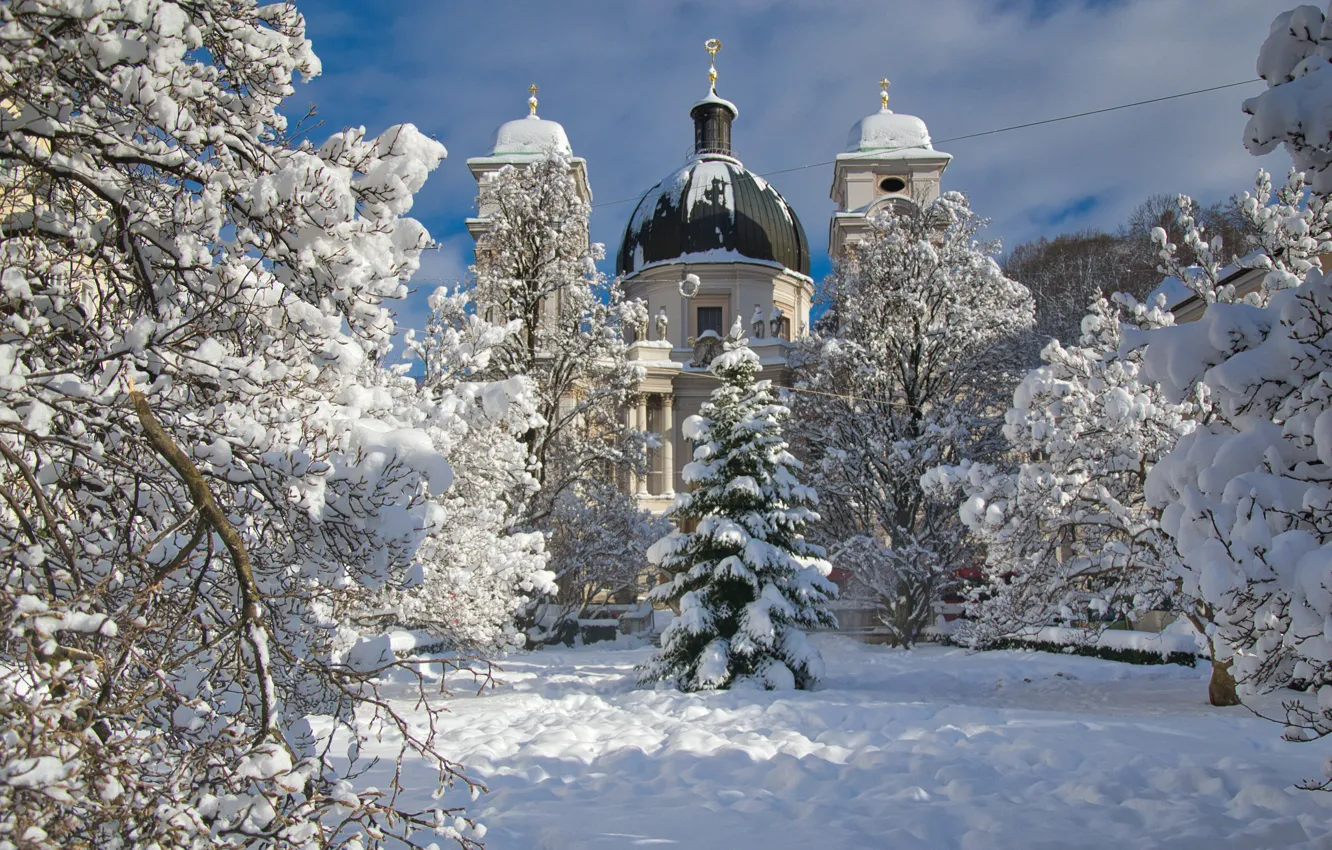 Фото обои зима, снег, деревья, природа, город, Австрия, церковь, собор
