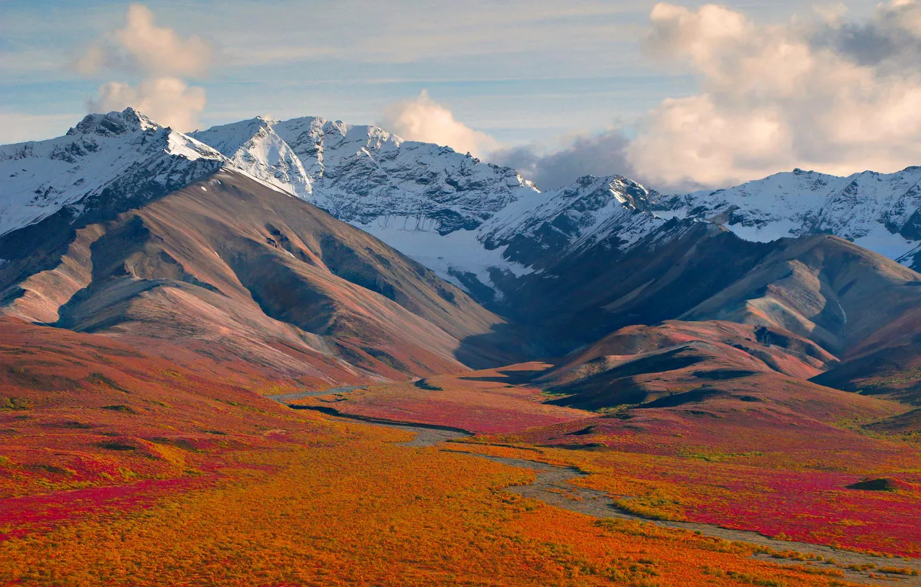 Фото обои небо, снег, цветы, горы, река, ручей, луг