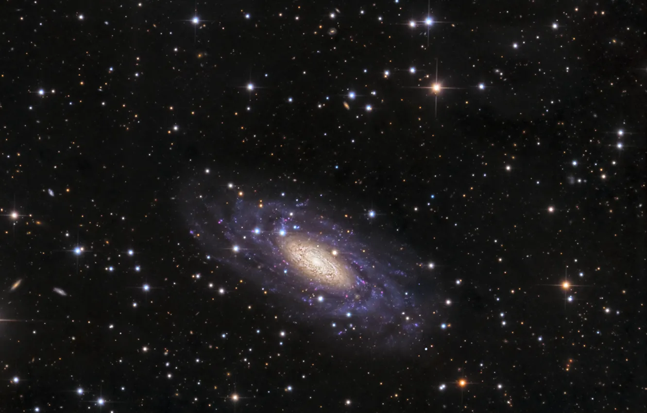 Фото обои Голубь, галактика, спиральная, в созвездии, NGC 2090