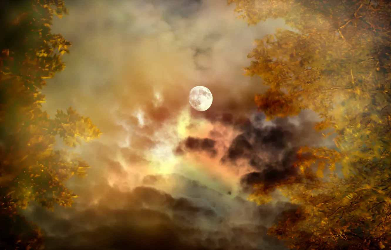 Фото обои осень, небо, облака, деревья, Луна