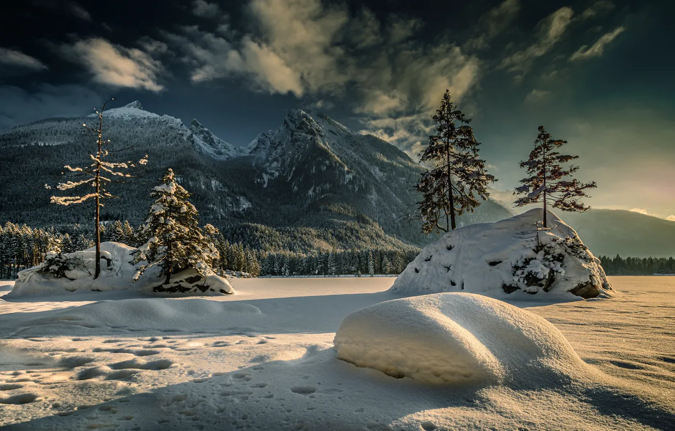 Фото обои зима, снег, деревья, горы, Германия, Бавария, Альпы, сугробы