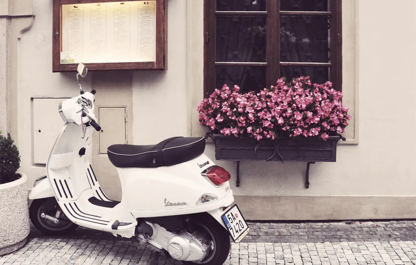 Фото обои цветы, улица, окно, мотоцикл, мостовая, скутер, Vespa