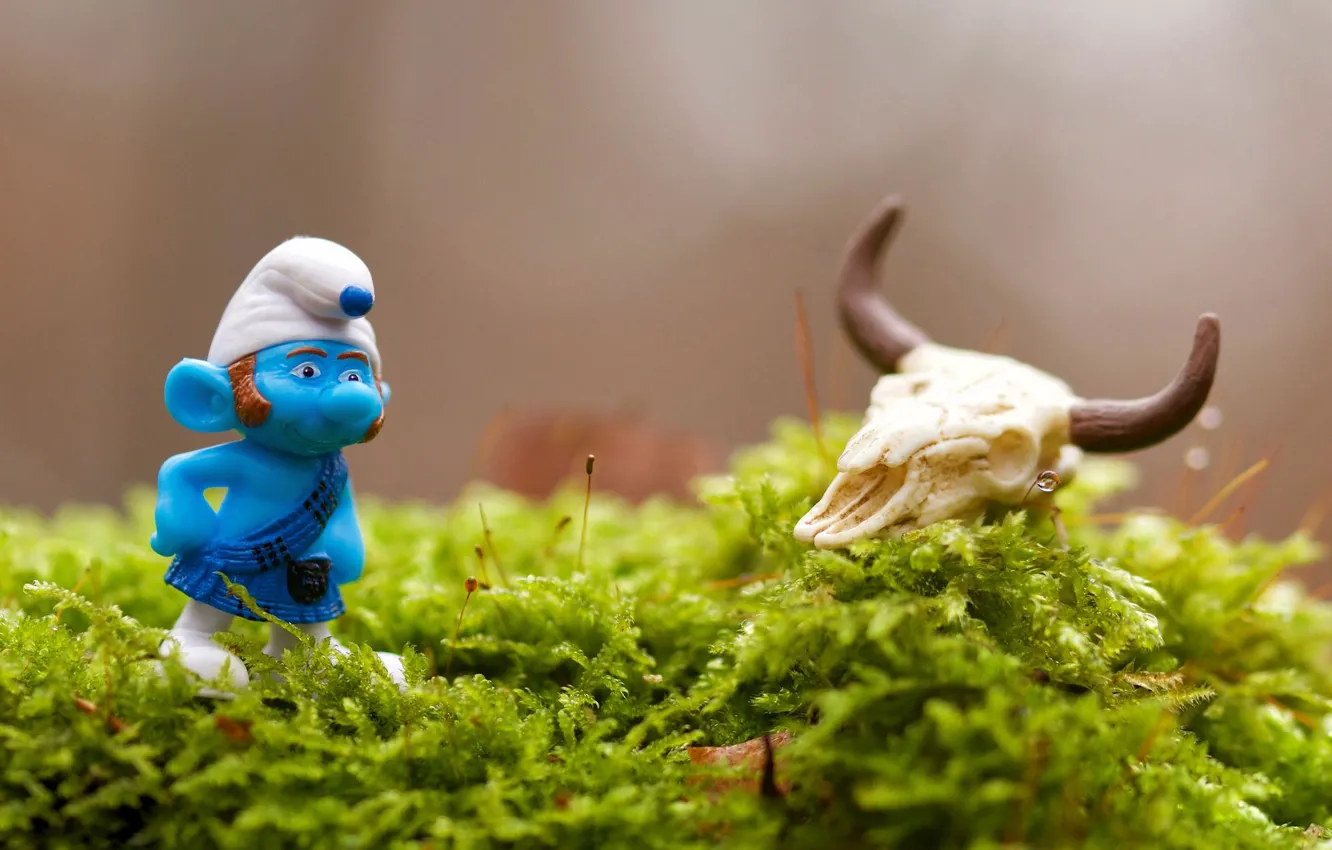 Фото обои череп, фигурка, смурф, scotsman smurf