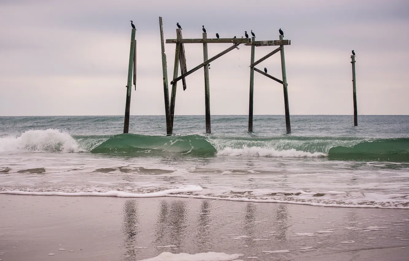 Фото обои море, пейзаж, птица, столбы