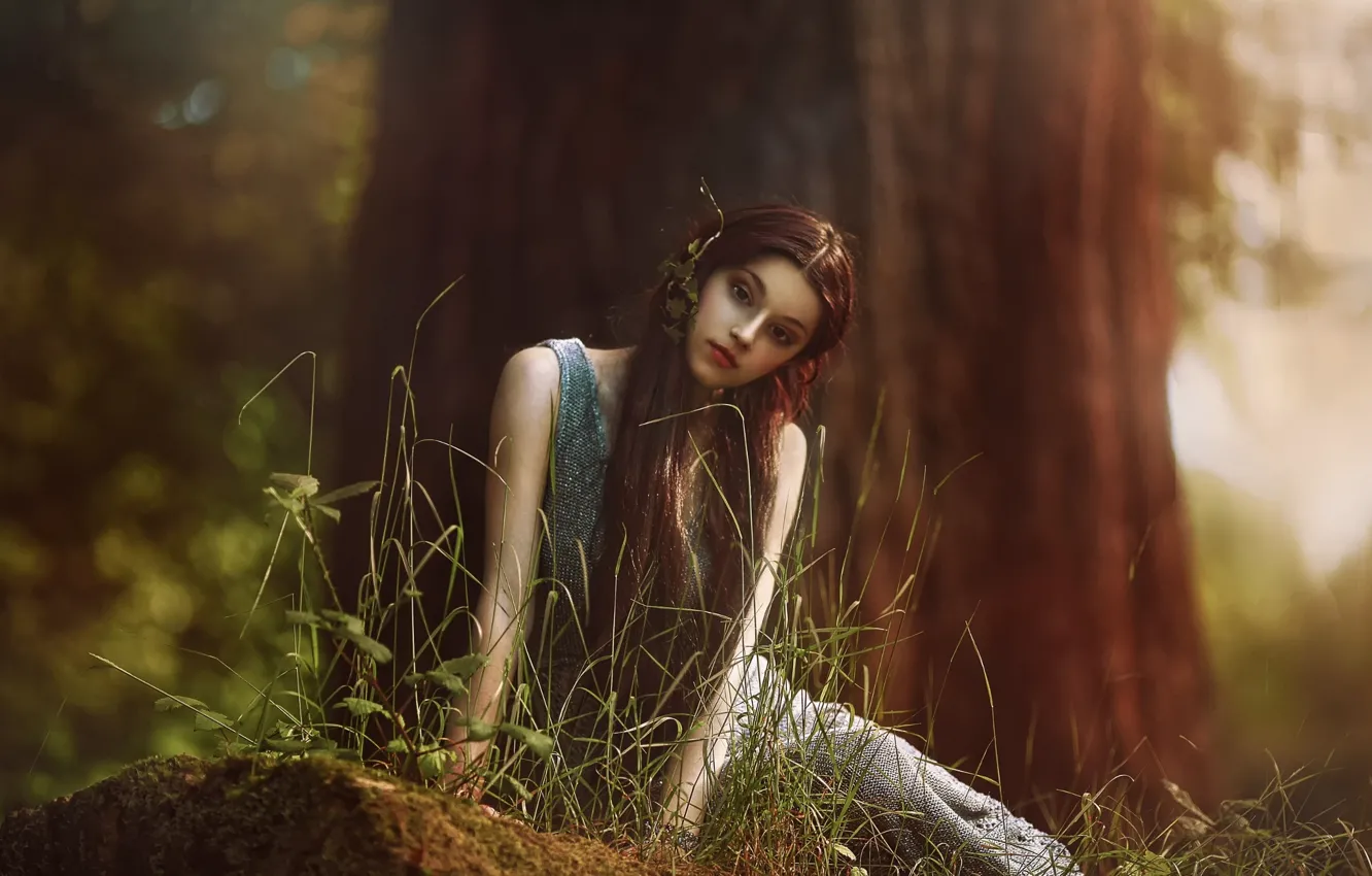 Фото обои лес, девушка, фантазия, арт, Elf, Agnieszka Lorek