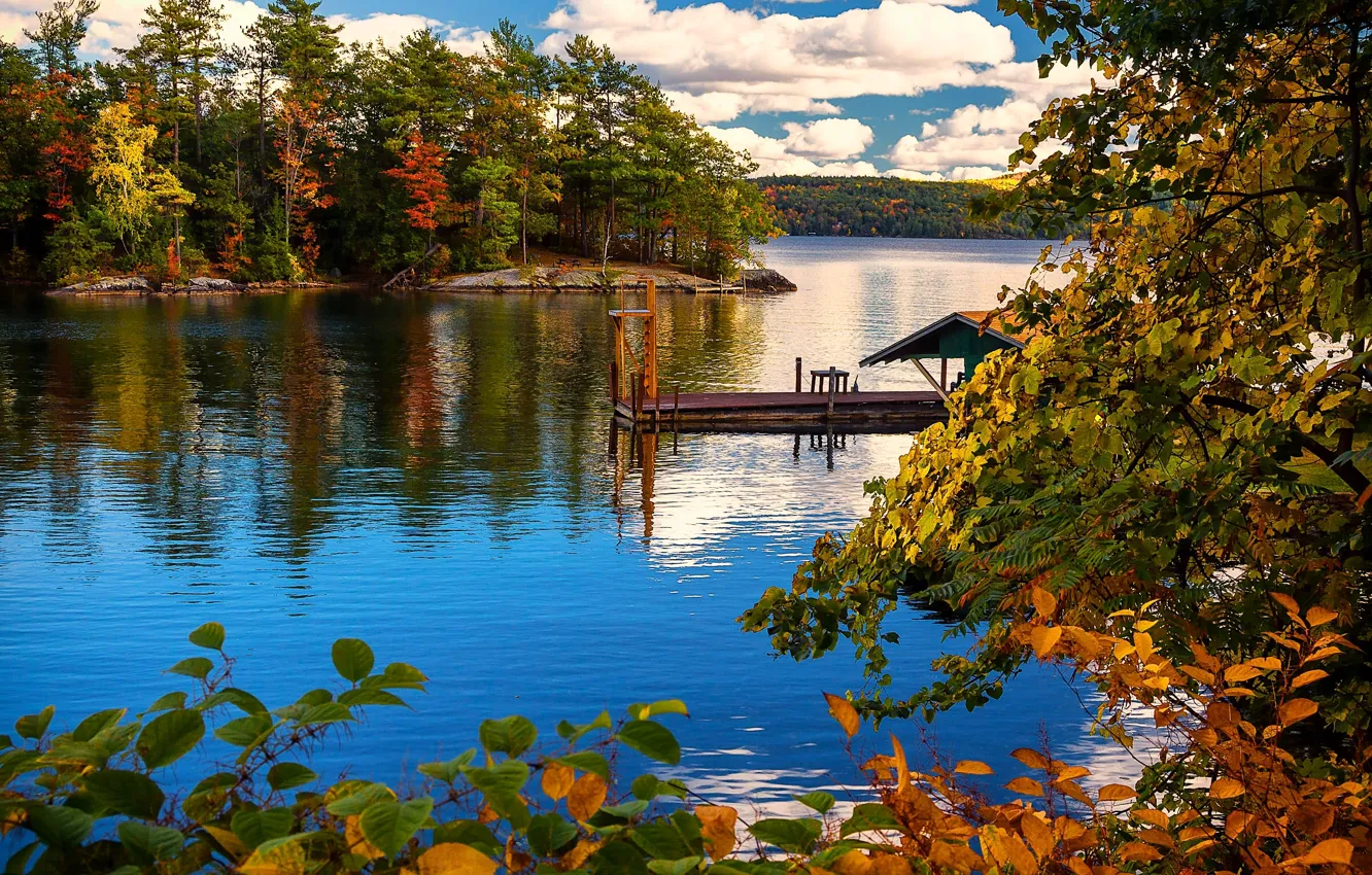 Фото обои осень, деревья, ветки, озеро, остров, пристань, Нью-Йорк, New York