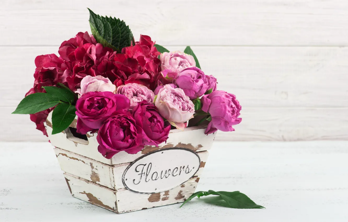 Фото обои цветы, розы, букет, розовые, гортензии, IRINA BORT
